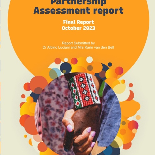 Partnership Assessment Report